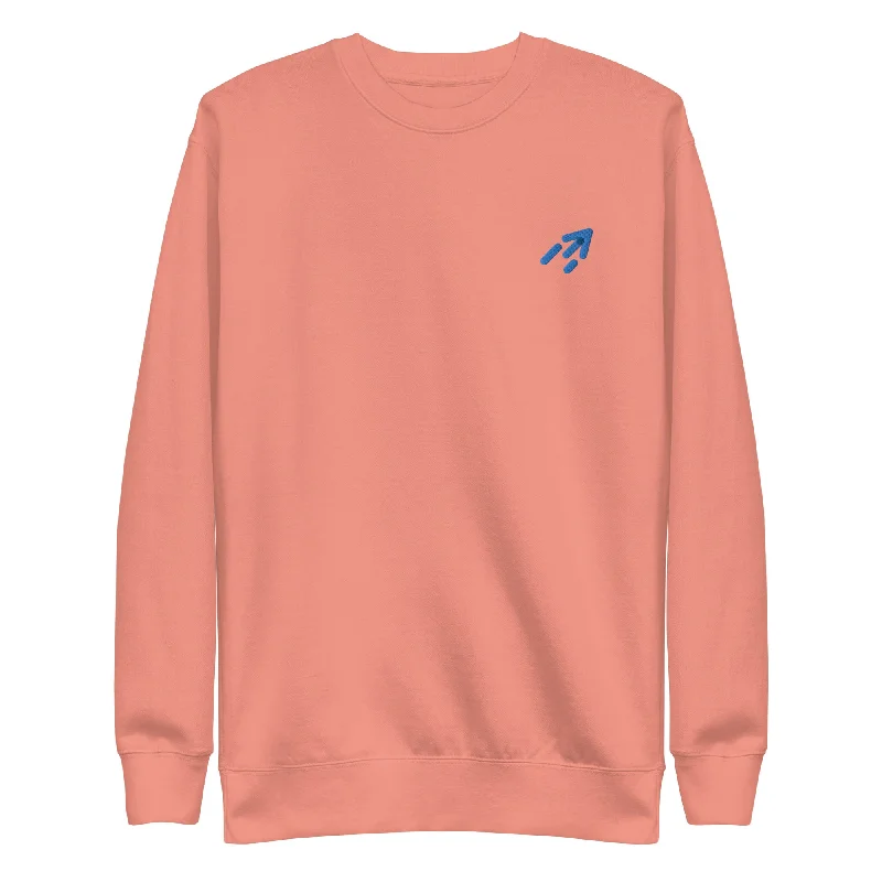 Unisex Premium Sweatshirt Hoodie with Gradient Ombre Colorful